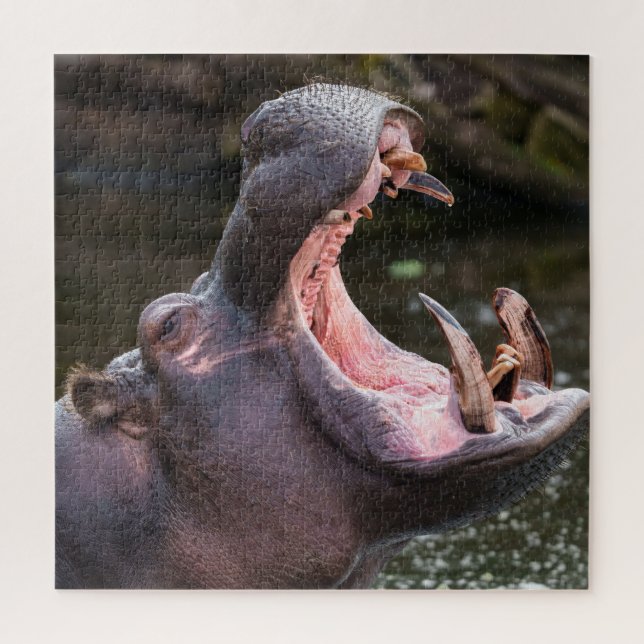 Hippo's Massive Jaws Jigsaw Puzzle (Vertical)