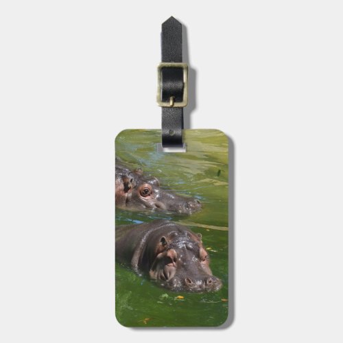 Hippos Swimming In A Pond Luggage Tag