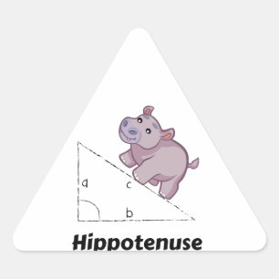 Hippotenuse Funny Math Triangle Sticker