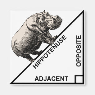 Hippotenuse Hypotenuse Funny Math Geometry Magnet