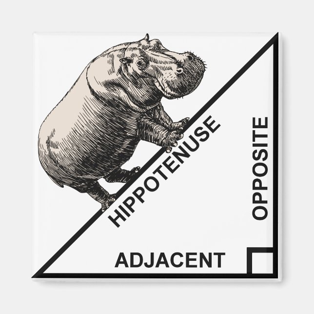 Hippotenuse Hypotenuse Funny Math Geometry Magnet (Front)