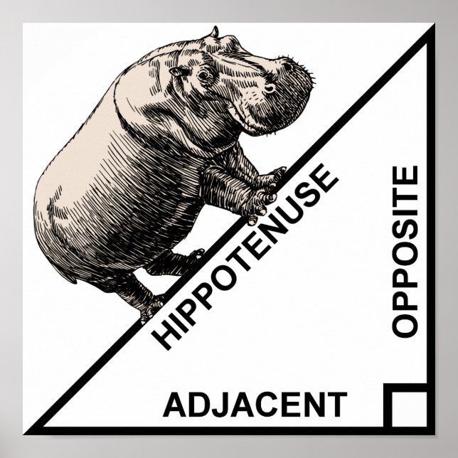 Hippotenuse Hypotenuse Funny Math Geometry Poster (Front)