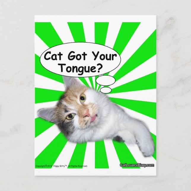Hippy Kitty Cat Got Your Tongue? Postcard (Front)