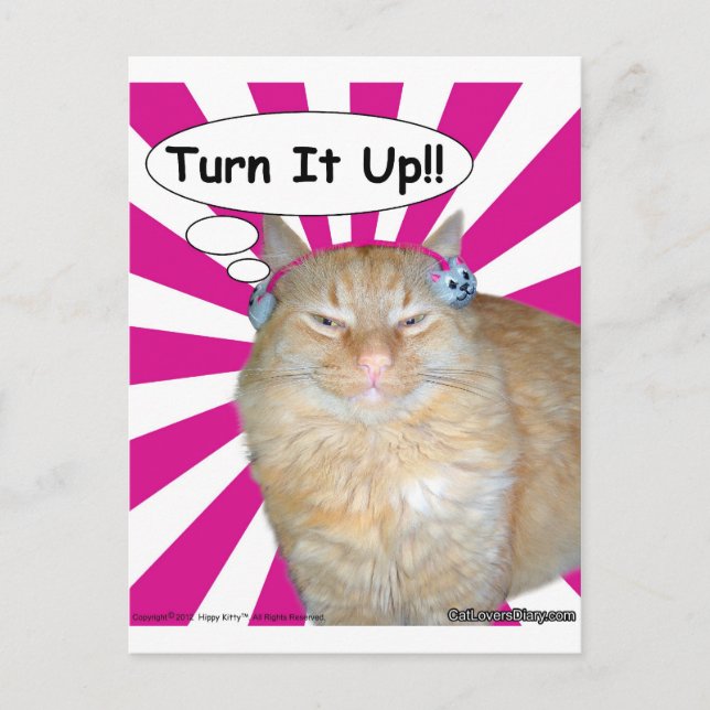 Hippy Kitty Turn It Up!! Postcard (Front)