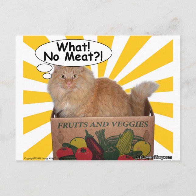 Hippy Kitty What! No Meat?! Postcard (Front)