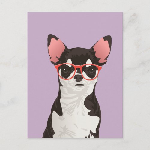 Hipster Black and White Coat Chihuahua Postcard