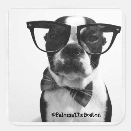 Hipster Boston Terrier with Glasses Stickers