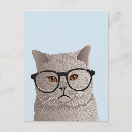 Hipster British Shorthair Cat Postcard