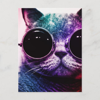 Hipster Cat Pop Art Postcard