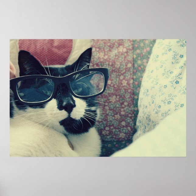 hipster cat poster (Front)