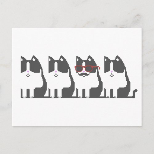 Hipster Cat Standing Out Pixel Art Postcard