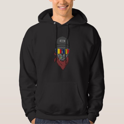 Hipster Cat With Romanian Flag Glasses Gift Sweats Hoodie