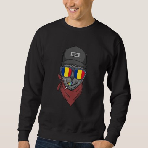 Hipster Cat With Romanian Flag Glasses Gift Sweats Sweatshirt