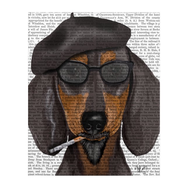 Hipster Dachshund Black and Tan Acrylic Print (Front)
