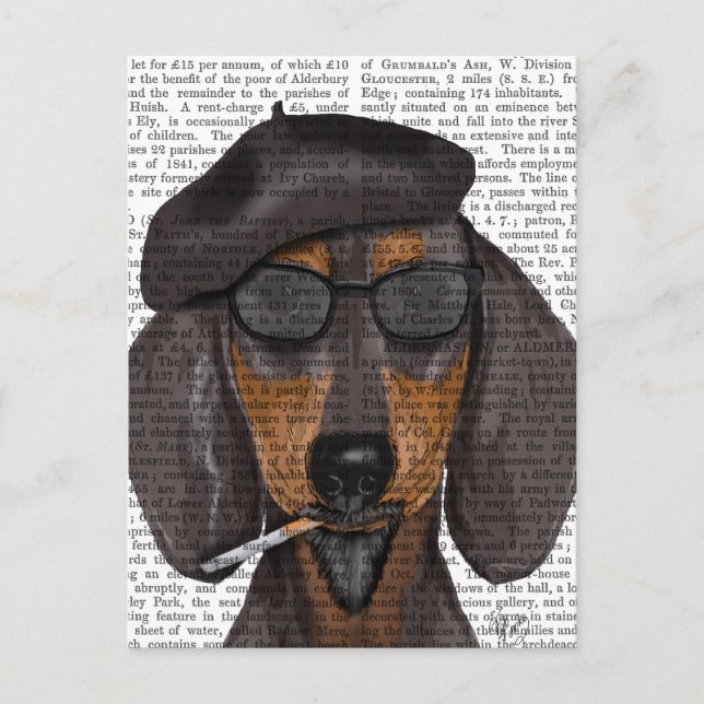 Hipster Dachshund Black and Tan Postcard (Front)