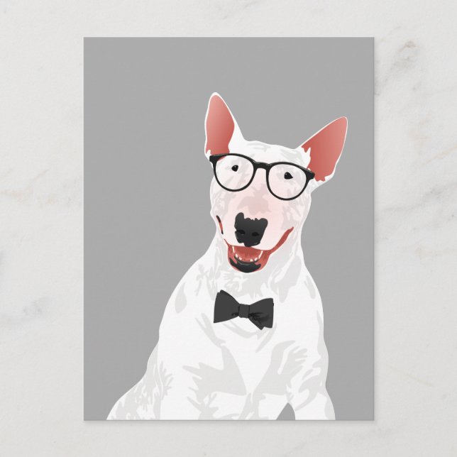 Hipster English Bull Terrier Dog Postcard (Front)