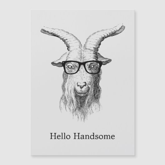 Hipster Goat Hello Handsome (Front)