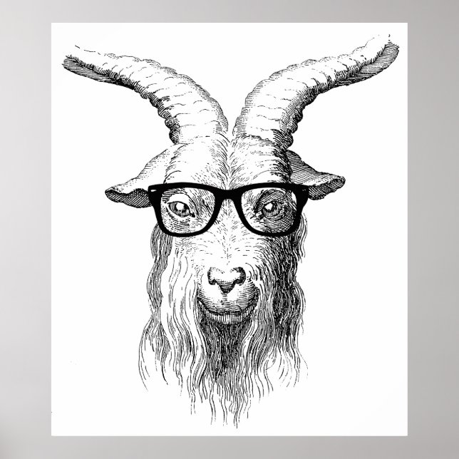 Hipster Goat Poster (Front)