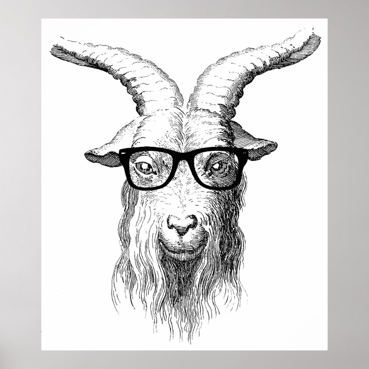 Hipster Goat Poster Zazzle 