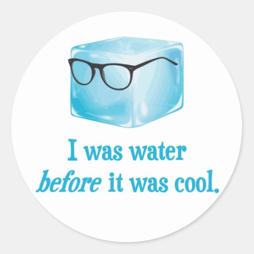 Hipster Ice Cube Was Water Before It Was Cool Classic Round Sticker