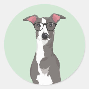 Hipster Italian Greyhound Dog for Dog Lovers Classic Round Sticker