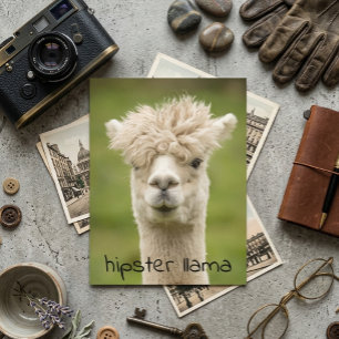 Hipster LLama Funny Hairdo Postcard