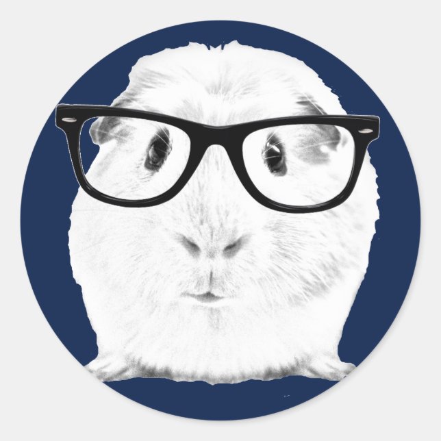 Hipster Pigster Classic Round Sticker (Front)