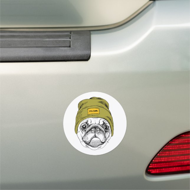 Hipster Pug | It's Cool Car Magnet (In Situ)