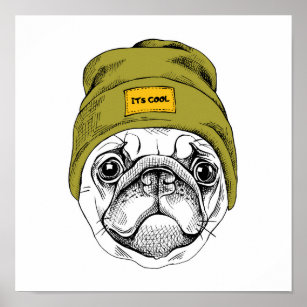 Hipster Pug   It's Cool Poster
