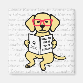 Hipster Yellow Labrador Puppy Magnet