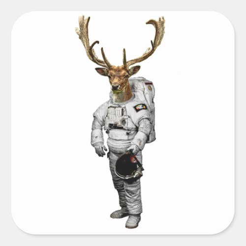 Hirsch Astronaut Sticker