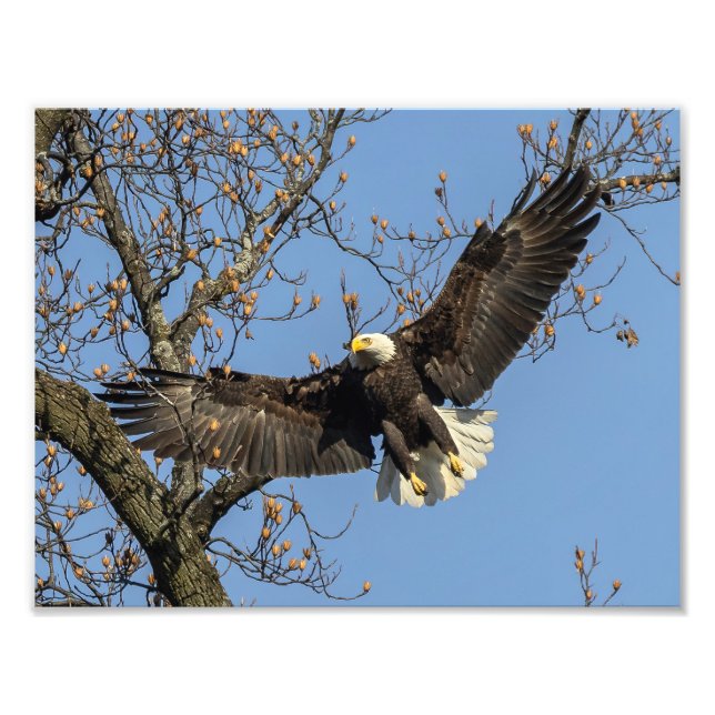 His Big Entrance Photo Print (Front)