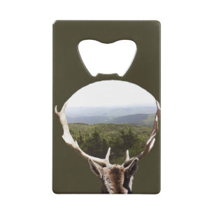 His Domain Credit Card Bottle Opener