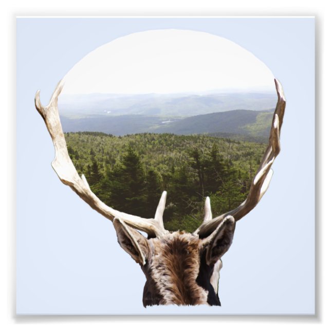 His Domain Photo Print (Front)