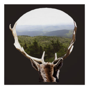 His Domain Poster