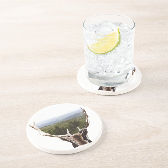 His Domain Sandstone Coaster (Side)