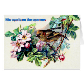 His eye is on the sparrow cards