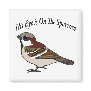 His eye is on the Sparrow Magnet