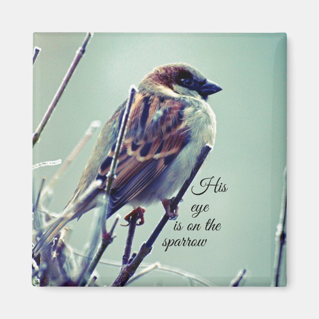 HIs eye is on the Sparrow Magnet (Front)