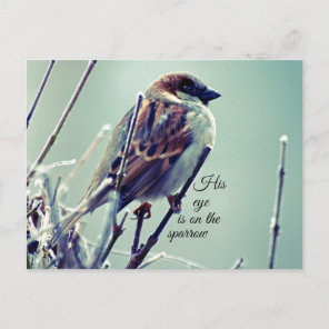 HIs eye is on the Sparrow Postcard