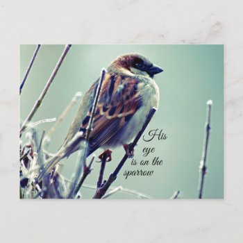 His Eye Is On The Sparrow Postcard by Christian_Quote at Zazzle
