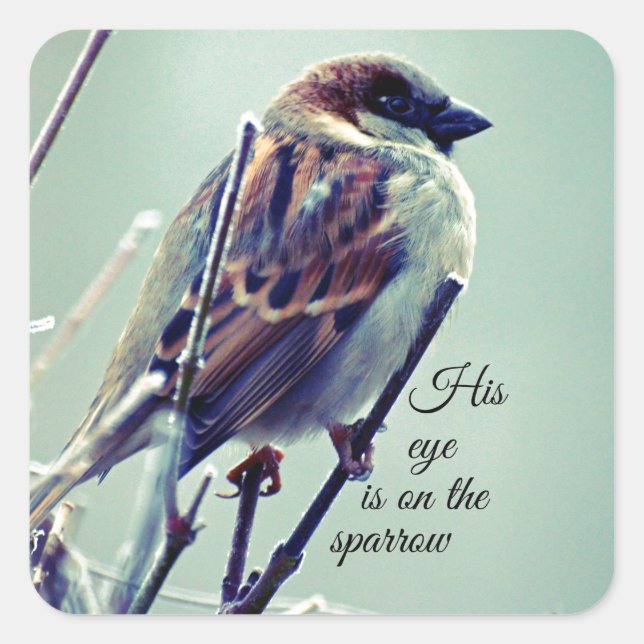 HIs eye is on the Sparrow Square Sticker (Front)