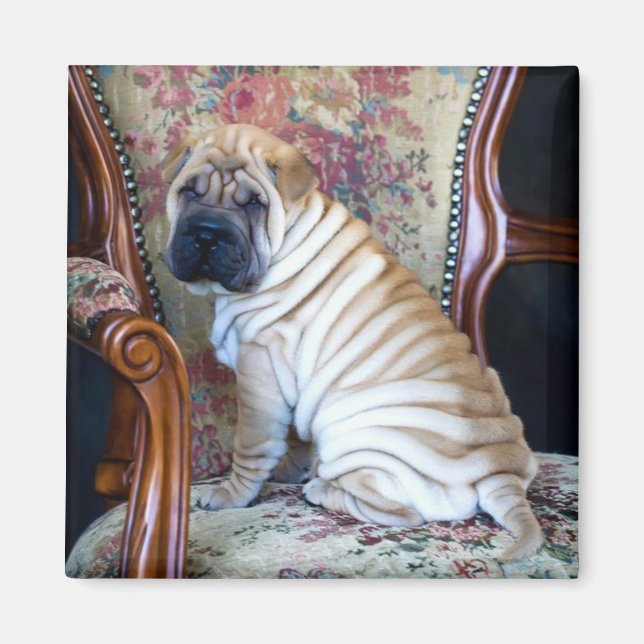 His Favorite Chair Magnet (Front)
