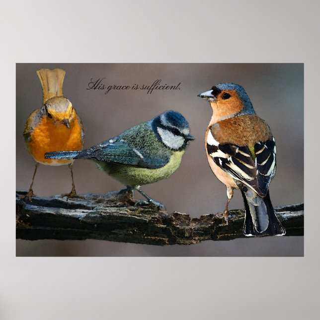 His grace is sufficient. poster (Front)