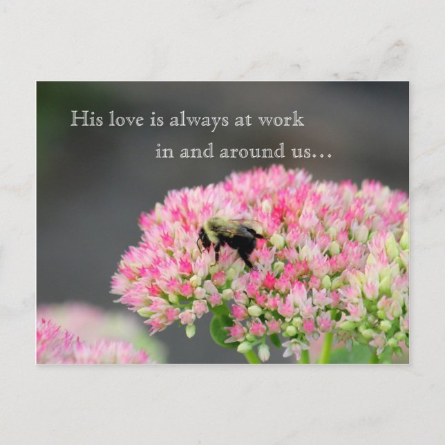 His love postcard (Front)