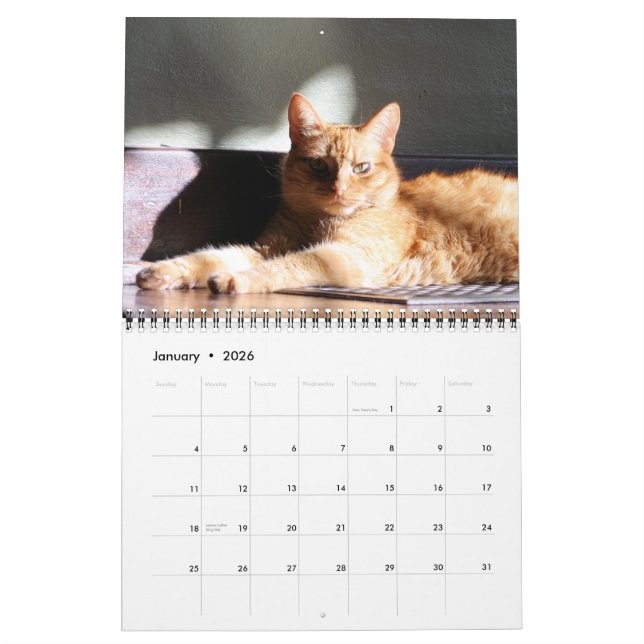 His Majesty The Cat 2013 Calendar (Jan 2026)