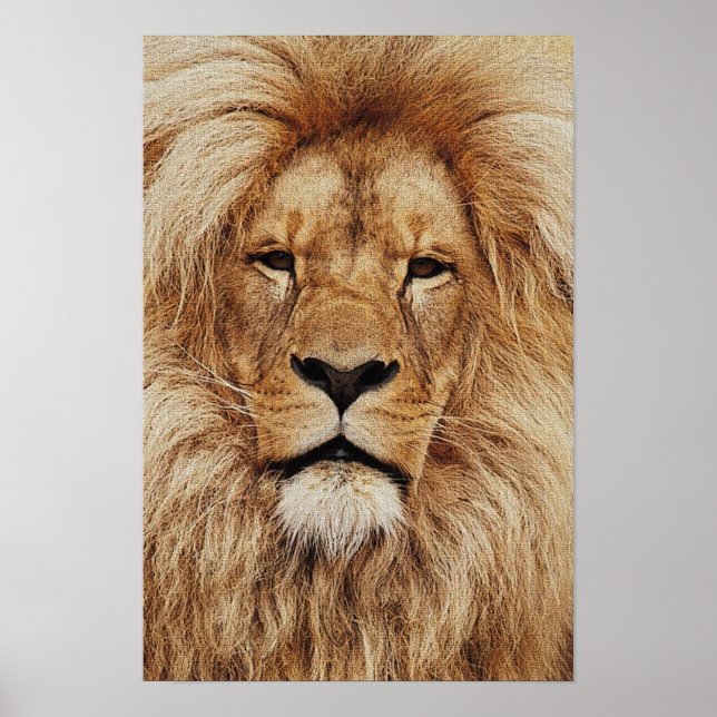 His Royal Highness Print (Front)