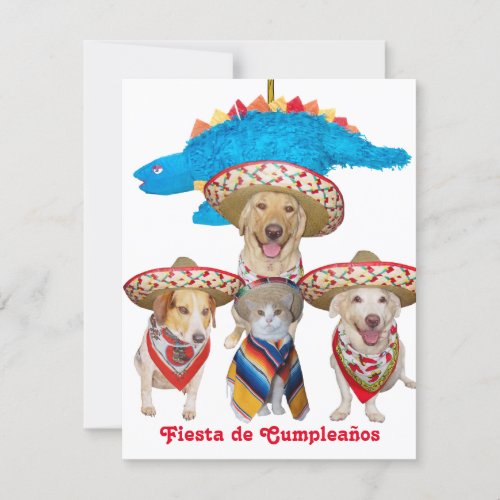 Hispanic Theme Kids Birthday Party Invitation