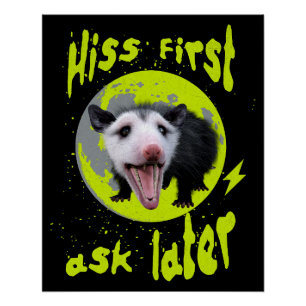 Hiss First Ask Later Funny Opossum Humor Poster