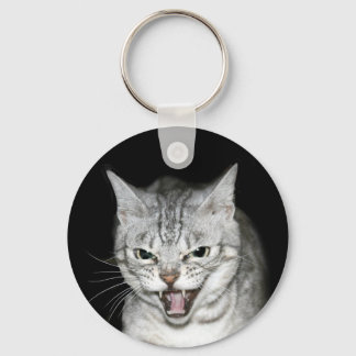 Hissing cat keychain